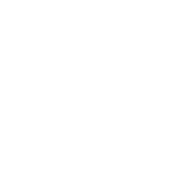 LYT Logo